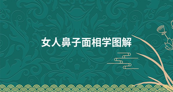 女人鼻子面相学图解