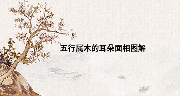 五行属木的耳朵面相图解