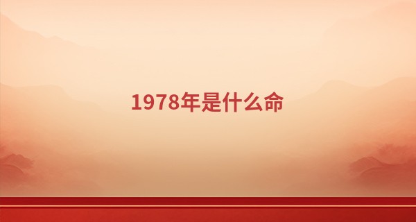 1978年是什么命