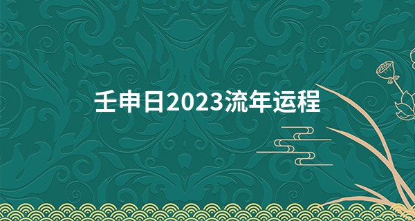 壬申日2023流年运程 草木皆兵容易心乱_时辰八字算命