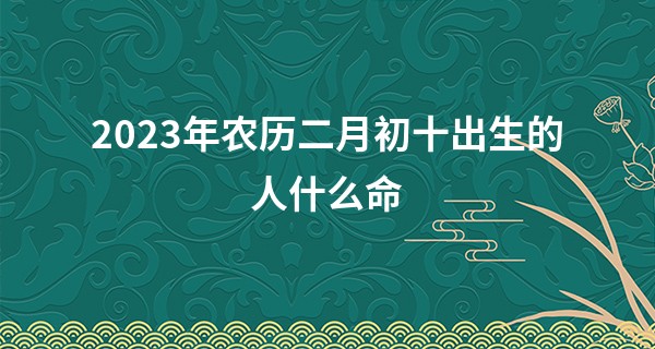2023年农历二月初十出生的人什么命,五行缺什么_你是算命届最可爱全文阅读