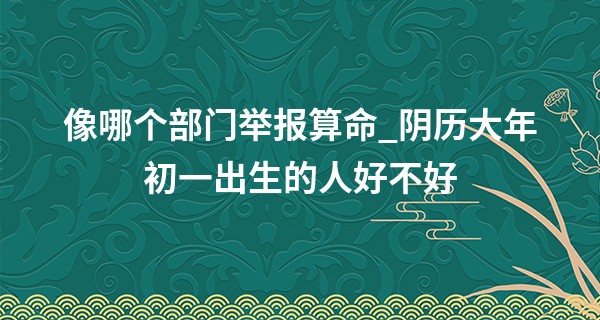 像哪个部门举报算命_阴历大年初一出生的人好不好 命运如何