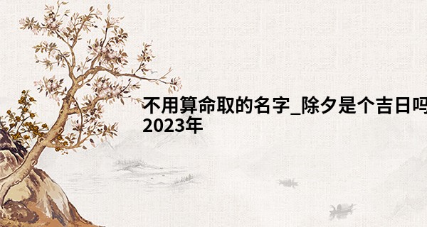 不用算命取的名字_除夕是个吉日吗2023年 除夕有几种叫法