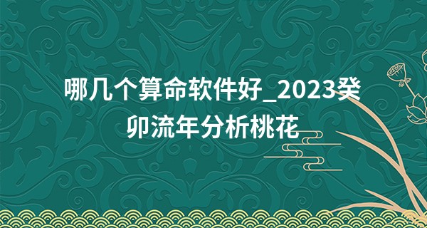 哪几个算命软件好_2023癸卯流年分析桃花 流年地支有卯就是桃花吗