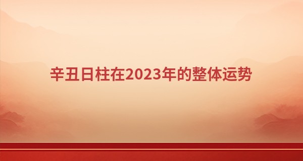 辛丑日柱在2023年的整体运势 出现波动切勿代人谋事_八字周易免费算命
