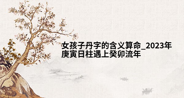 女孩子丹字的含义算命_2023年庚寅日柱遇上癸卯流年 需开源节流积累财富