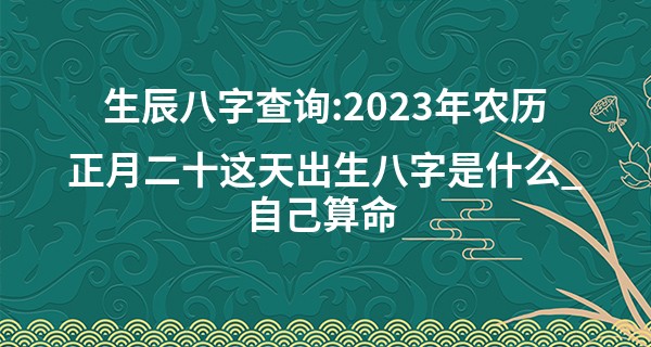生辰八字查询:2023年农历正月二十这天出生八字是什么_自己算命 生老病死
