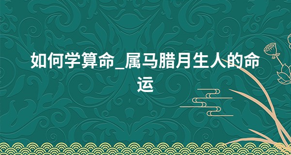 如何学算命_属马腊月生人的命运 属马性格特点