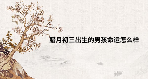 腊月初三出生的男孩命运怎么样 财运旺盛_王菲算命