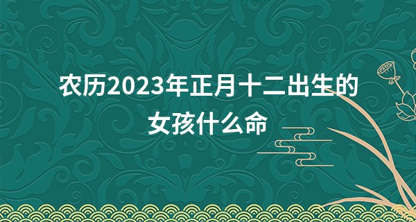 农历2023年正月十二出生的女孩什么命,缺什么五行_周公算命大全