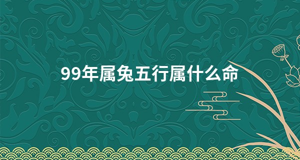 99年属兔五行属什么命 生人为城头土命_浙江党员摆摊算命