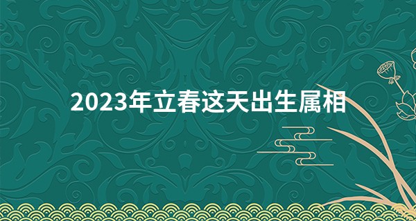 2023年立春这天出生属相 这天生孩子好吗_泸州算命哪里最准