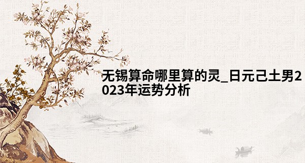 无锡算命哪里算的灵_日元己土男2023年运势分析 大吉大利 财源广进
