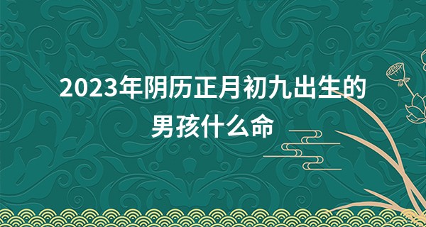 2023年阴历正月初九出生的男孩什么命,五行缺哪个_下载大家找算命网