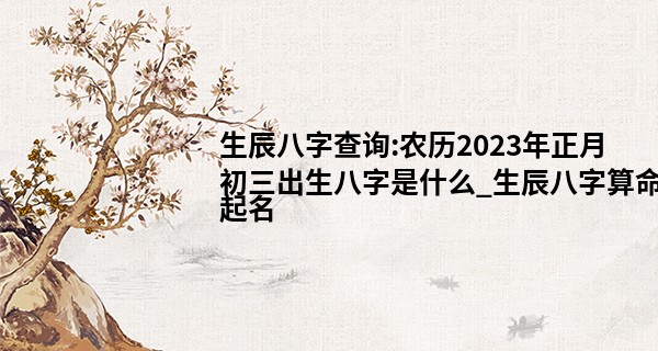 生辰八字查询:农历2023年正月初三出生八字是什么_生辰八字算命起名