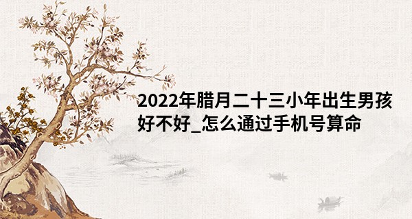 2022年腊月二十三小年出生男孩好不好_怎么通过手机号算命