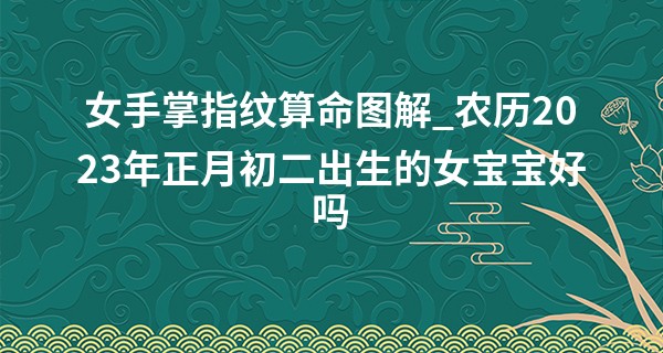 女手掌指纹算命图解_农历2023年正月初二出生的女宝宝好吗,五行旺缺查询