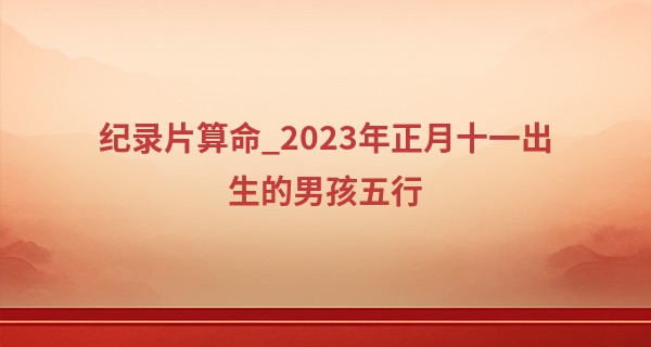 纪录片算命_2023年正月十一出生的男孩五行 正月十一出生的男孩好不好