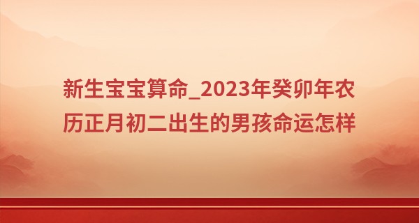 新生宝宝算命_2023年癸卯年农历正月初二出生的男孩命运怎样,五行缺什么