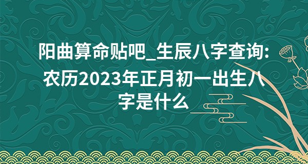 阳曲算命贴吧_生辰八字查询:农历2023年正月初一出生八字是什么