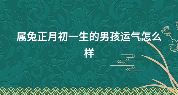 属兔正月初一生的男孩运气怎么样 正月初一降生的男生性格独立_道士算命口头语
