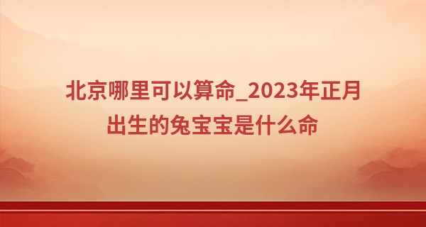 北京哪里可以算命_2023年正月出生的兔宝宝是什么命 事业辉煌一生顺遂
