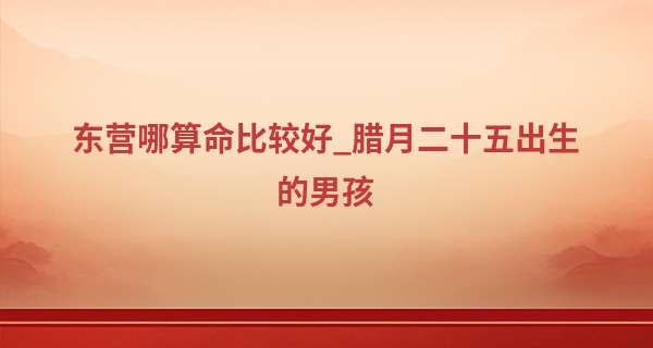 东营哪算命比较好_腊月二十五出生的男孩 努力奋斗收获财富