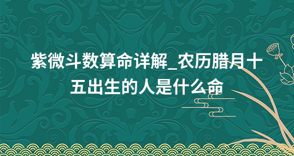 紫微斗数算命详解_农历腊月十五出生的人是什么命 一生幸运且财富繁荣