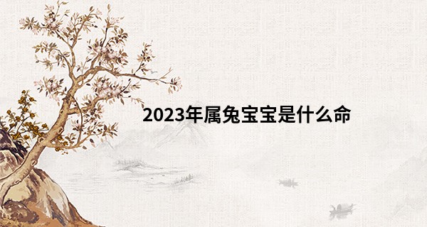 2023年属兔宝宝是什么命 金箔金命为山林之兔_庆阳算命哪里最好