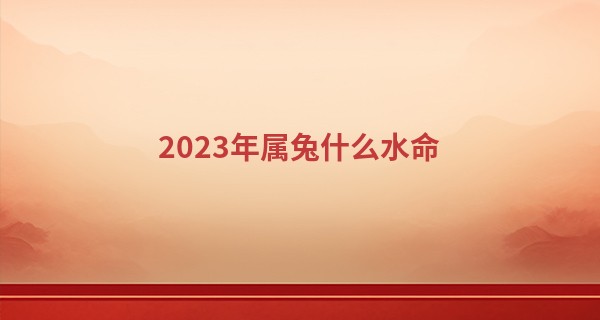 2023年属兔什么水命 水兔之命喜欢随遇而安_周易阴历算命生辰八字