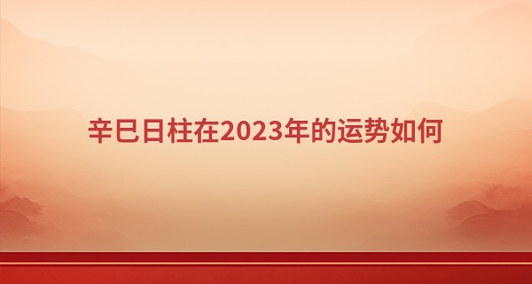 辛巳日柱在2023年的运势如何 适合的婚配_阴历出生算命