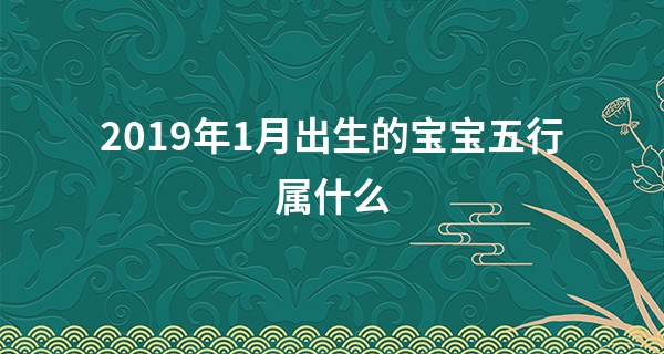 2019年1月出生的宝宝五行属什么 学识过人有成就_济缘算命 马云