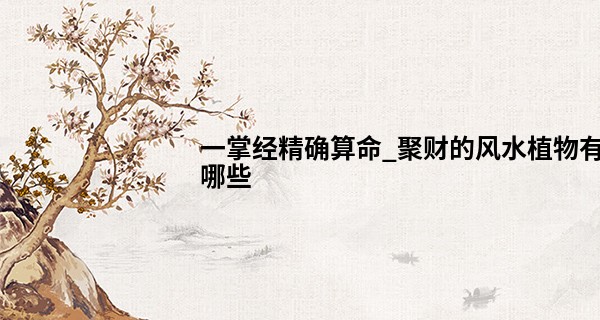 一掌经精确算命_聚财的风水植物有哪些 天天好运来
