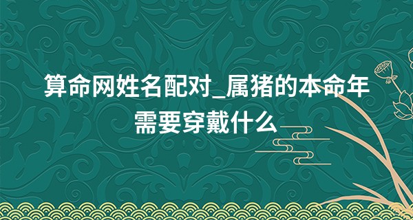 算命网姓名配对_属猪的本命年需要穿戴什么 尊重传统