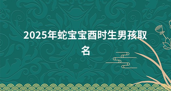 2025年蛇宝宝酉时生男孩取名,蛇年宝宝取名大全男孩