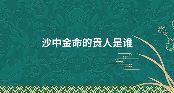 沙中金命的贵人是谁