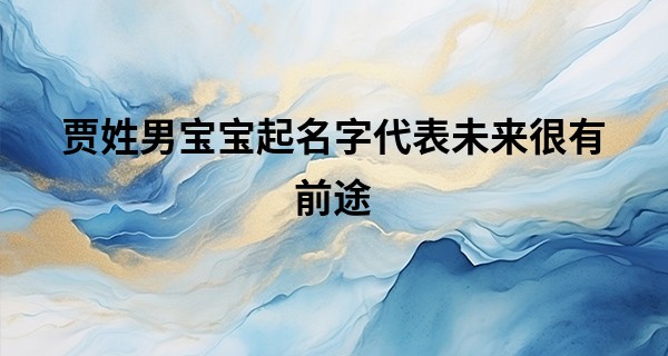 贾姓男宝宝起名字代表未来很有前途