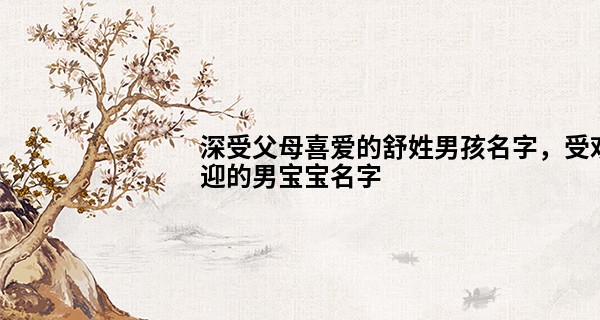 深受父母喜爱的舒姓男孩名字，受欢迎的男宝宝名字