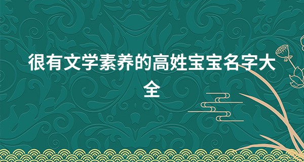 很有文学素养的高姓宝宝名字大全