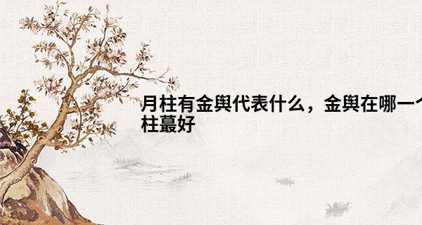 月柱有金舆代表什么,金舆在哪一个柱最好