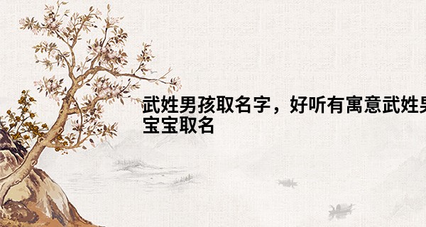 武姓男孩取名字，好听有寓意武姓男宝宝取名