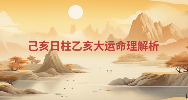 己亥日柱乙亥大运命理解析