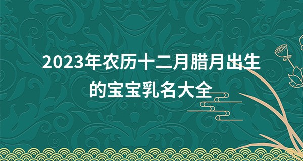 2023年农历十二月腊月出生的宝宝乳名大全