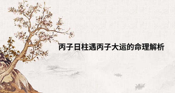 丙子日柱遇丙子大运的命理解析