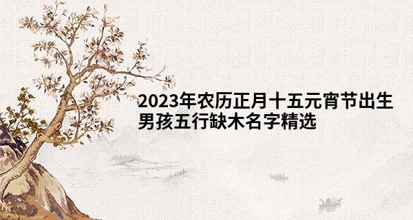 2023年农历正月十五元宵节出生男孩五行缺木名字精选